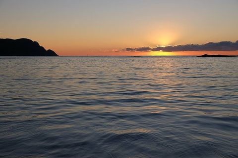 身体，水，日落，环绕，山，海，海滩