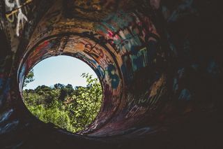 美国，马奎特，树，管道，森林，涂鸦，树，圆圈