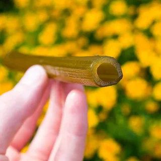 天使、花朵、黄色、confit、水果、糕点、人手、一人