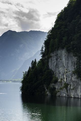 观点，反思，欧洲，夏天，国家，瓦茨曼，彩色，树