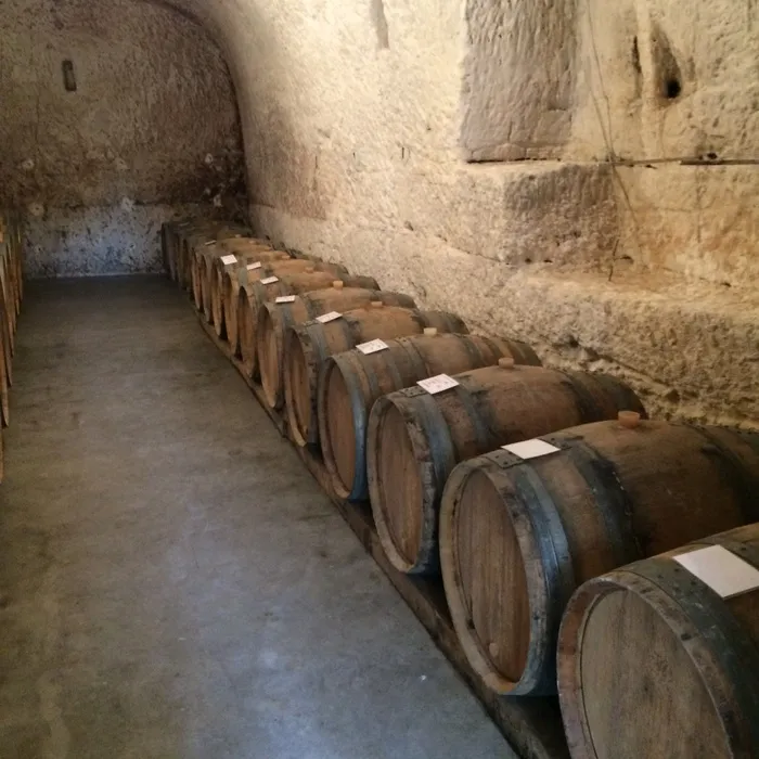 葡萄酒，收获，桶，酒窖，酒厂，酒精，酿酒，地下室