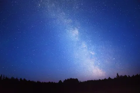 树上的银河系摄影 树上的银河系摄影