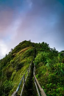 穿过树木环绕的山体的金属栅栏小径 穿过树木环绕的山体的金属栅栏小径