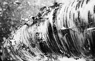 树, 树皮, 树干, 木材, 纹理, 白桦树皮, 特写, 一天