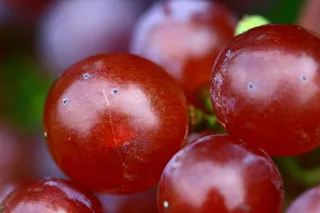 葡萄、红酒、葡萄酒、葡萄藤、食用、食品和饮料、健康饮食、食品