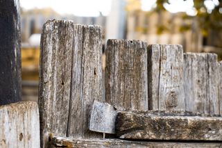 木材，门，输入，自然，弹簧，旧，目标，开门