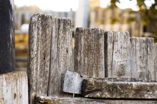 木材，门，输入，自然，弹簧，旧，目标，开门