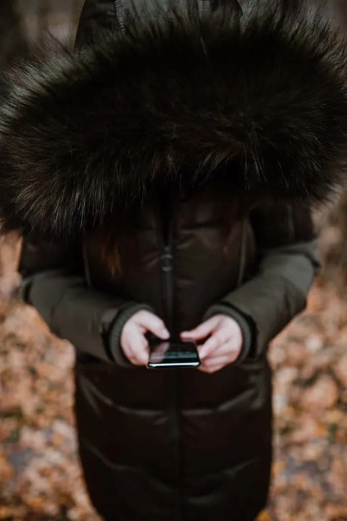 秋天在雾天向森林走去