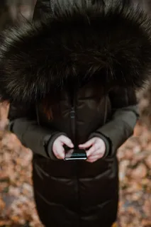 秋天在雾天向森林走去