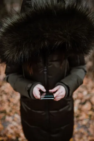 秋天在雾天向森林走去