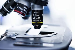 黑色、灰色、尼康显微镜、实验室、实验、测试、化学、显微镜