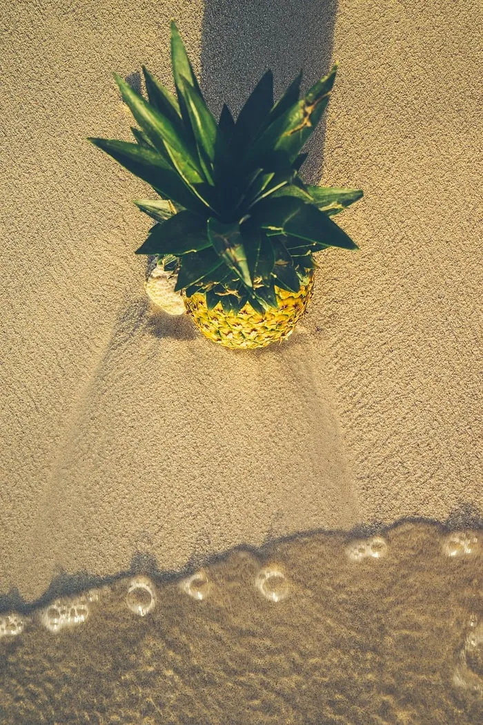 海滩上的菠萝