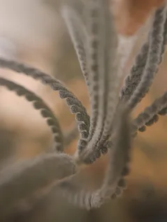 黑白针织物 黑白针织物