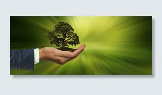 树，人，手，可持续性，保持，能源，全球，可再生