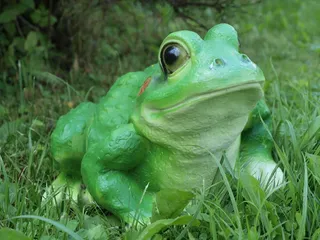 青蛙、装饰、小雕像、花园、净空、草、绿色、绿色