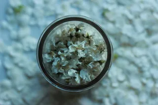 芬兰，埃斯波，特写，植物，自然，玻璃材料，没有人，关注前景