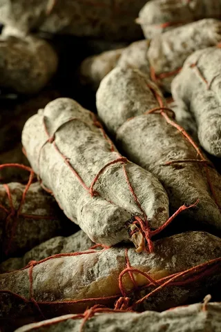 采购产品灰色装饰，植物，食物，蔬菜，衣服，衣服，农产品，真菌