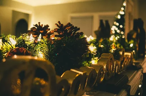 松果，装饰，装饰，装饰，装饰，节日，节日