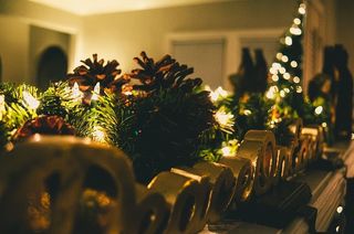 松果，装饰，装饰，装饰，装饰，节日，节日