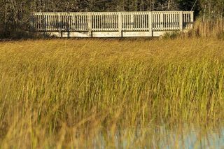 秋天的颜色在一条步行小道上。