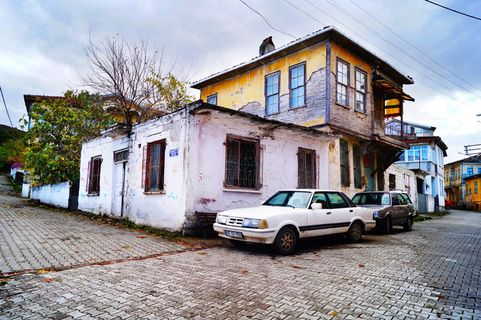 云杉，獒，自然，背景，蓝色，风景，开，车