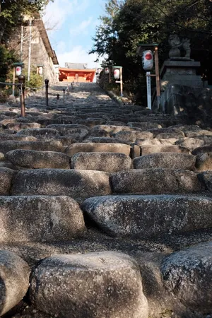 小路，人行道，岩石，人行道，人行道，松山，日本，猪