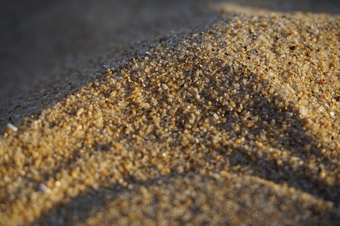 沙滩、假日、海滩、阳光、放松、贝壳、夏天、大海