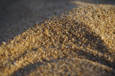 沙滩、假日、海滩、阳光、放松、贝壳、夏天、大海