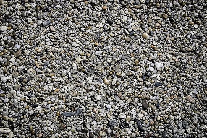 默认，石头，水，葡萄牙，发现，贝壳，海滩，沙子