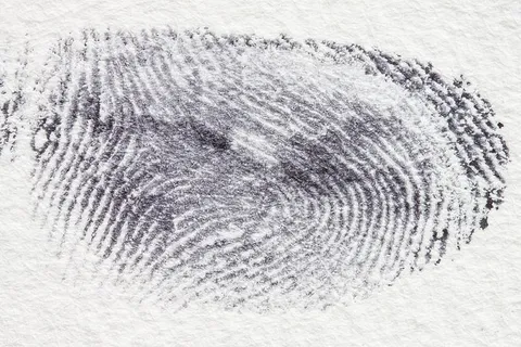 指纹,指纹,Daktylogram,乳头状,指尖,手指浆果,接触,犯罪 指纹,指纹,Daktylogram,乳头状,指尖,手指浆果,接触,犯罪