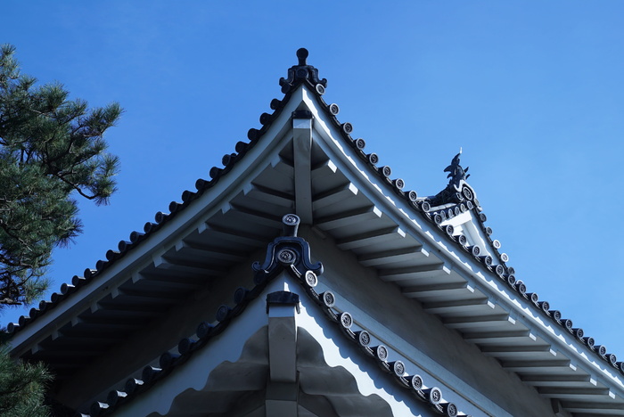 日本宫殿细节，京都，江户时代建筑，旅游，工艺，历史，蓝天，春天