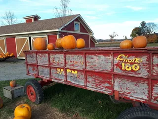 南瓜，农场，秋天，南瓜，食品和饮料，建筑，食品，健康饮食