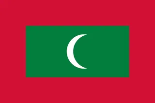 国旗，马尔代夫，马尔代夫国旗，徽章，公共领域，符号，标志，插图