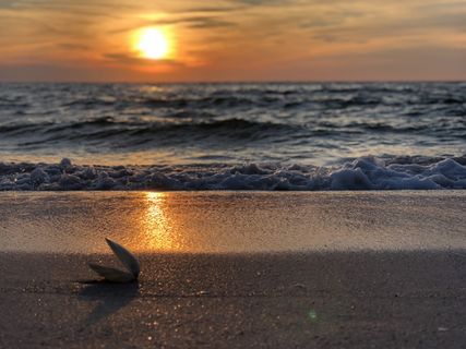 黄金时段的海滨照片