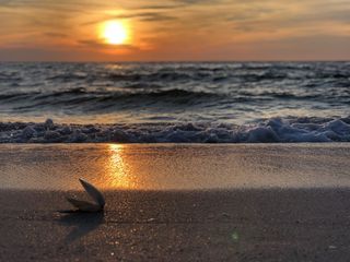 黄金时段的海滨照片