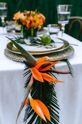 五彩缤纷的奇花异草