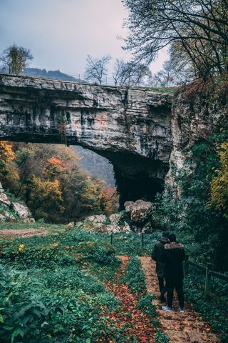 两个人在森林里行走