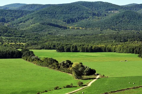 森林、道路、木材、自然、秋天、心情、促销、绿色 森林、道路、木材、自然、秋天、心情、促销、绿色