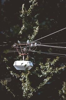 灯光，街道，灯笼，灯，街道，细节，树，小巷