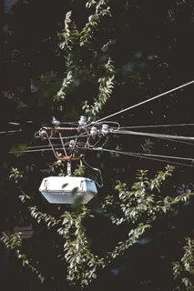 灯光，街道，灯笼，灯，街道，细节，树，小巷