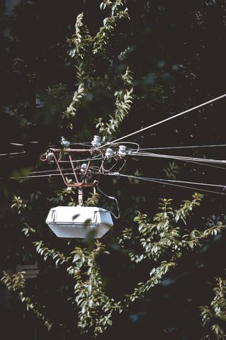 灯光，街道，灯笼，灯，街道，细节，树，小巷