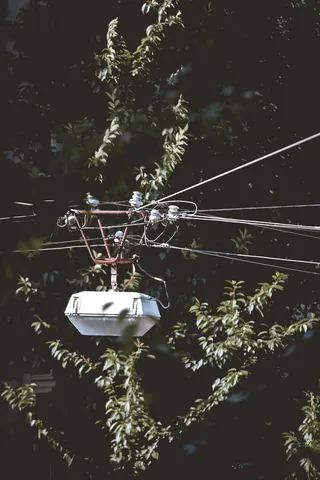 灯光，街道，灯笼，灯，街道，细节，树，小巷