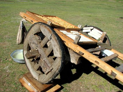 汽车，*，奶酪，烘干，奶酪烘干，蒙古，台阶，吃
