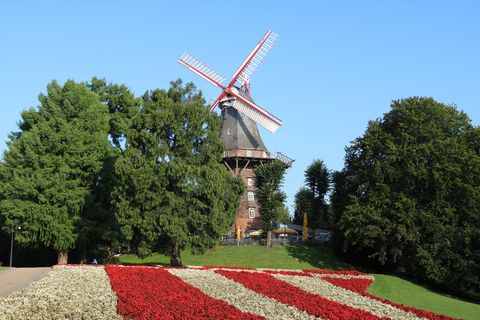 绿色，叶子，树木，蓝色，天空，不来梅，墙上的风车，墙上的风车