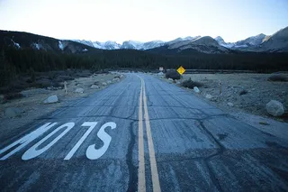 沥青、针叶树、乡村、曲线、空旷、导向、公路、景观