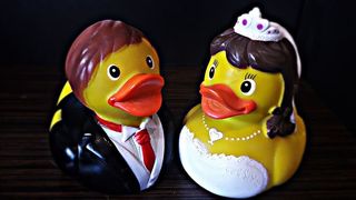 鸭子，橡皮鸭，玩具，浴室，乐趣，表现，动物表现，室内