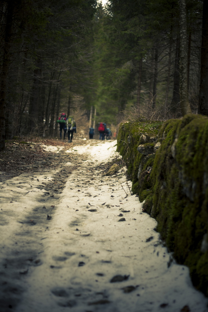 雪地的微距摄影