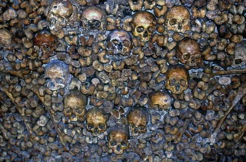 法国，巴黎，地下墓穴，无人，全骨架，人体骨架，动物，野生动物