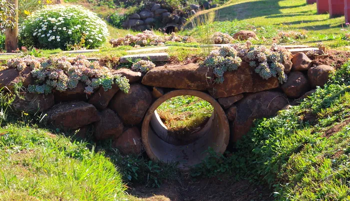 桥梁，鹅卵石，石头，植物，固体，岩石，自然，岩石-物体