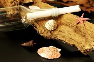 瓶子里的信息，大海，贻贝，海星，海滩，假日，旅行，假日